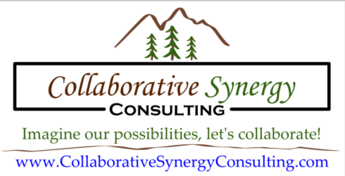 Collaborative Synergy Consulting logo